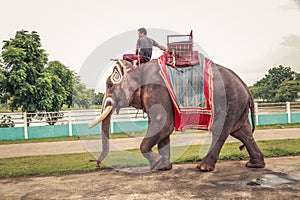 Surin, Thailand - July Ã¢â¬Å½20, Ã¢â¬Å½2018 : Mahouts and elephants go to work in the carnival